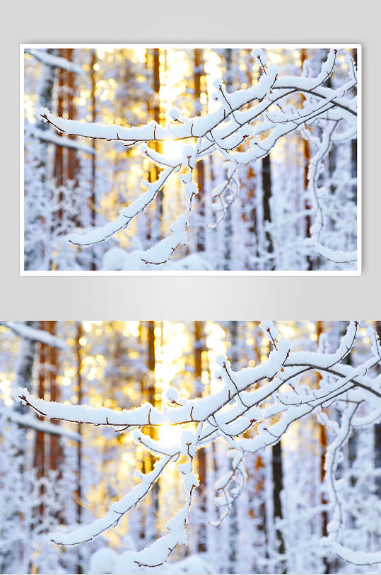 冬季雪景高清图片