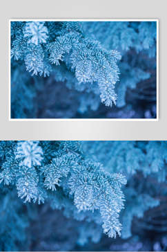 深蓝色冬季雪景高清图片