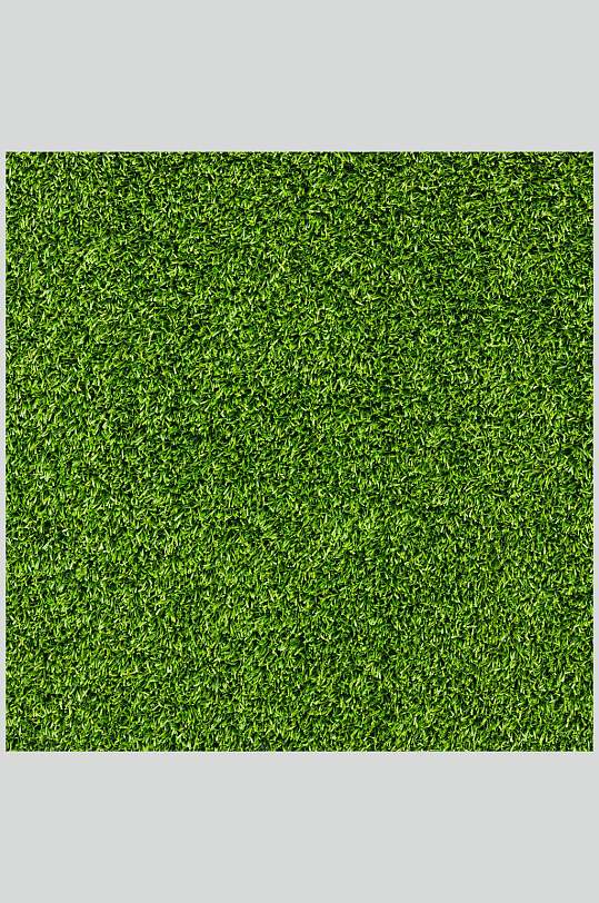 正方形绿色绿植草坪草地植被纹理图片