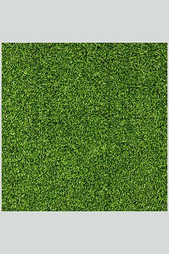 正方形绿色绿植草坪草地植被纹理图片