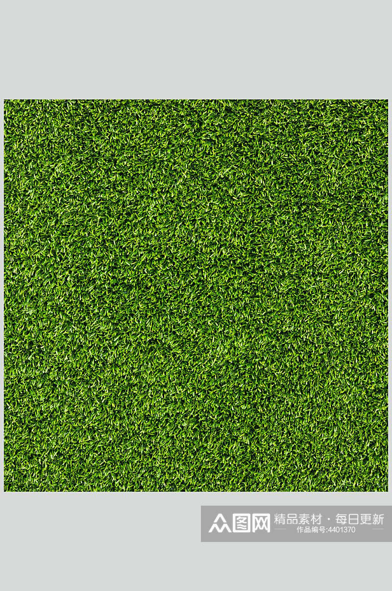 正方形绿色绿植草坪草地植被纹理图片素材