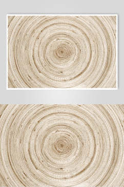年轮圆木桩木纹面图片