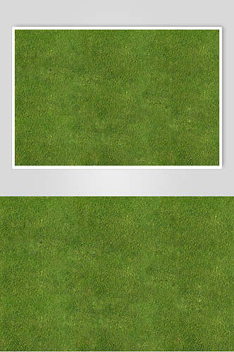 草地绿植被纹理图片