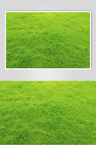 绿色草坪草地植被纹理图片