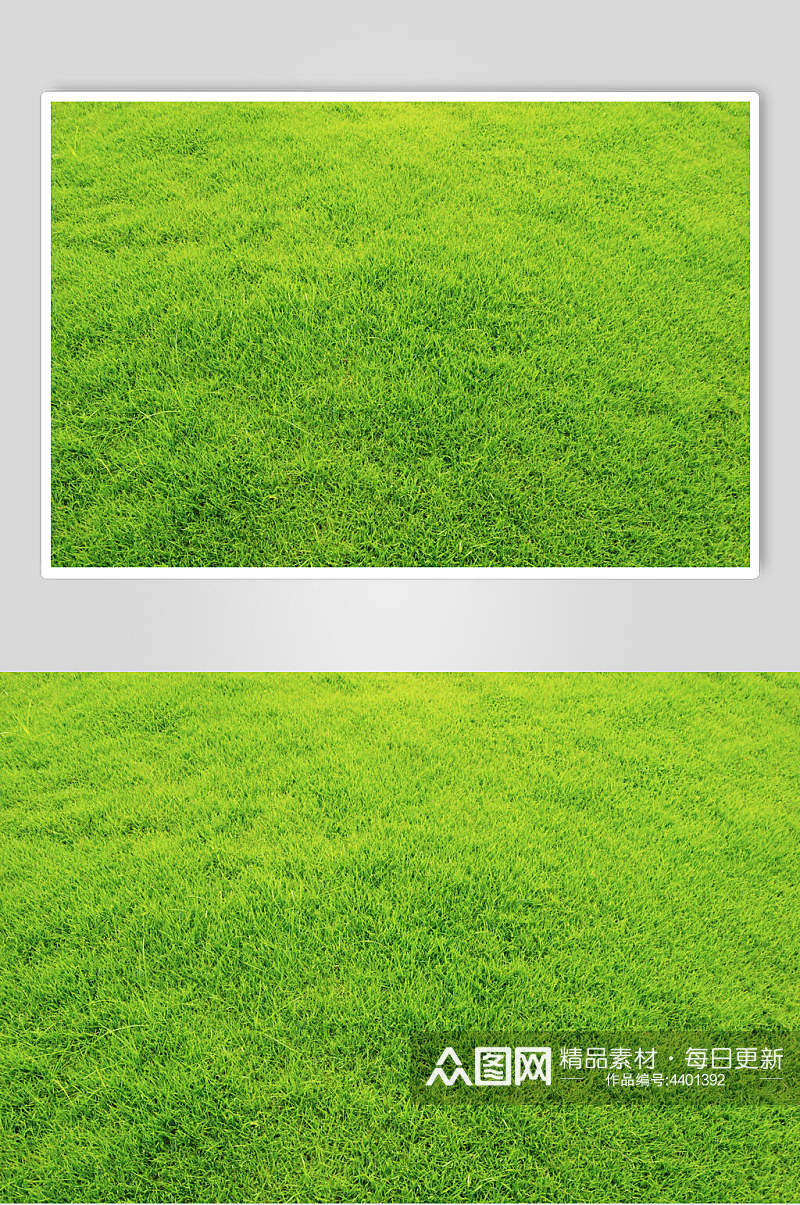 绿色草坪草地植被纹理图片素材
