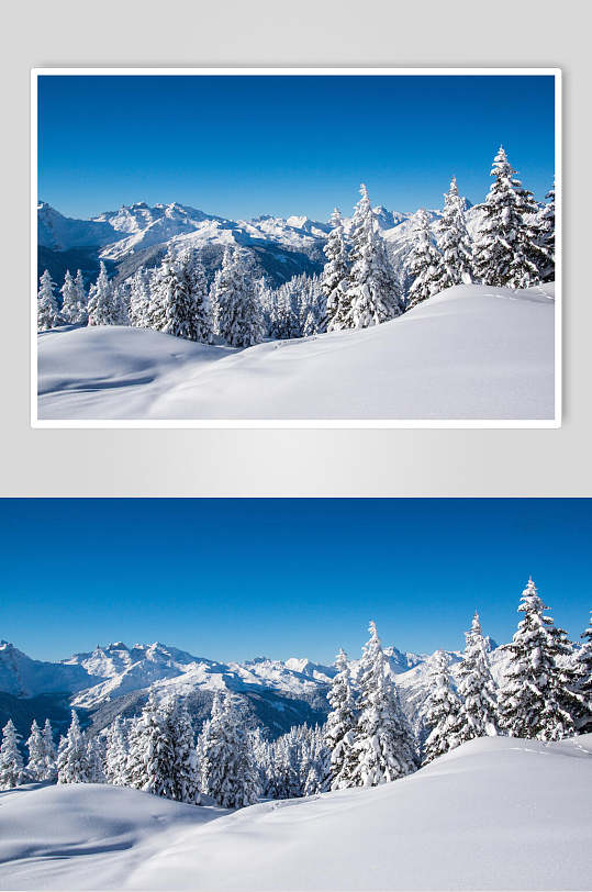 时尚自然雪景风景图片