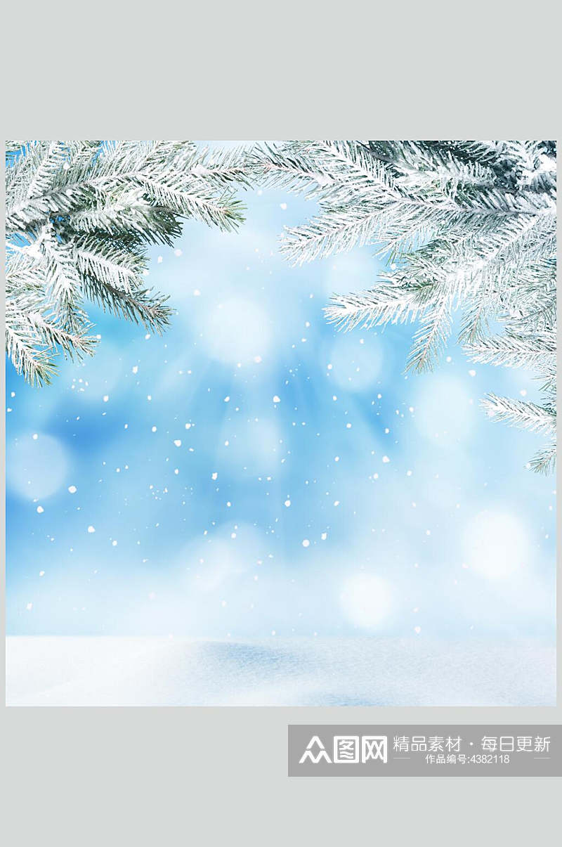 发光雪花儿植物冬季雪景高清图片素材