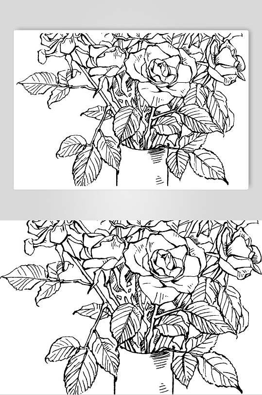 玫瑰花植物手绘线稿矢量素材