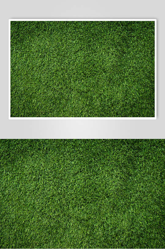 平整草地绿色草地植被纹理图片