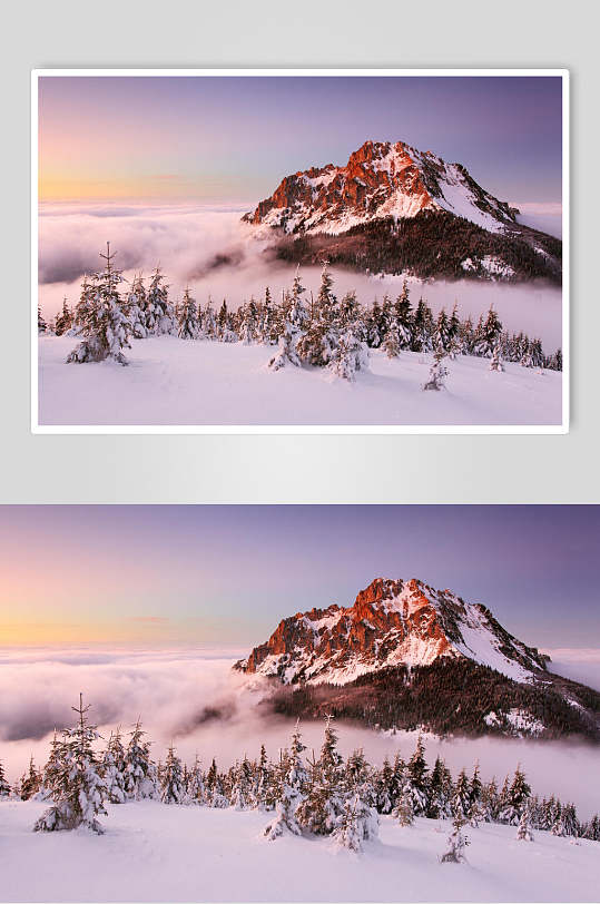 云雾缭绕松树林山峰雪山雪景摄影图片