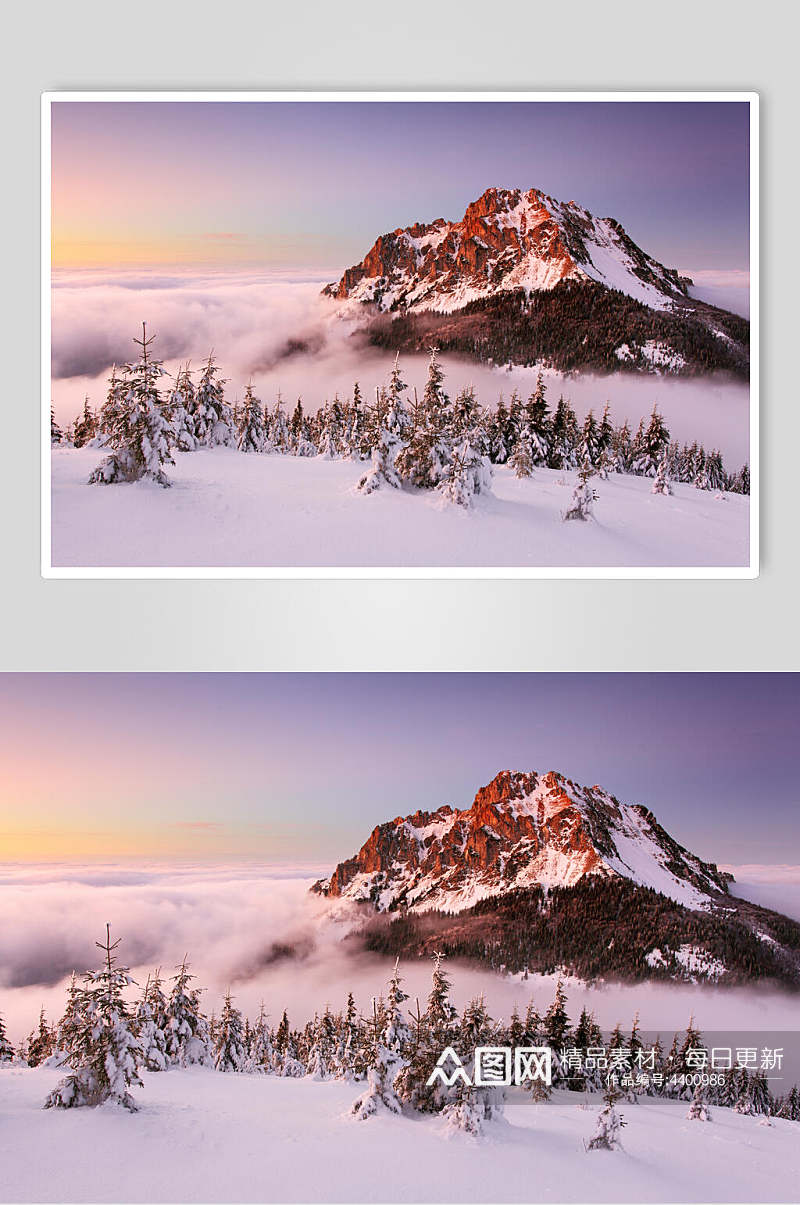 云雾缭绕松树林山峰雪山雪景摄影图片素材