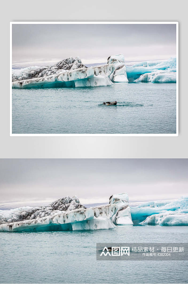 海面游泳冰川冰雪风景图片素材