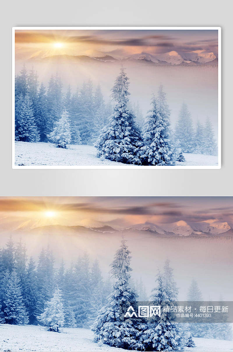 太阳光照树林自然雪景风景图片素材