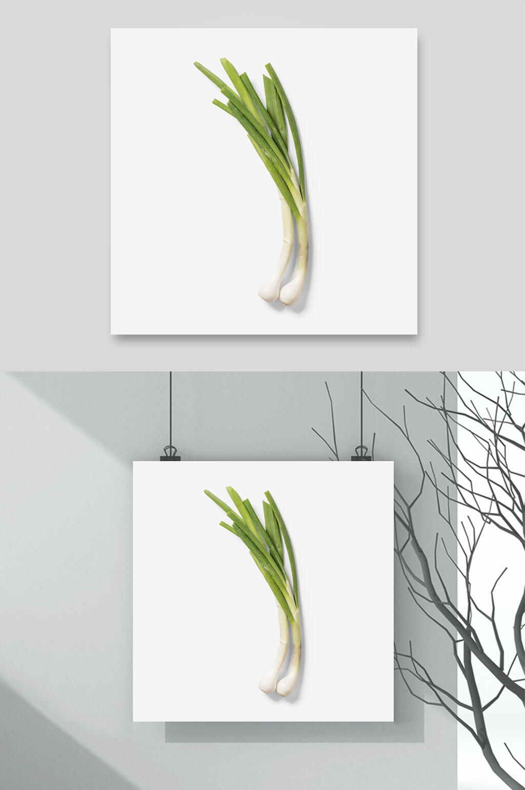 绿色简约蔬菜时尚清新餐饮食物素材素材