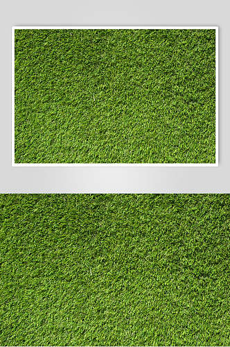 绿色平整草地植被纹理图片