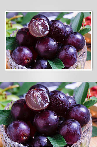 晶莹紫色葡萄摄影图片