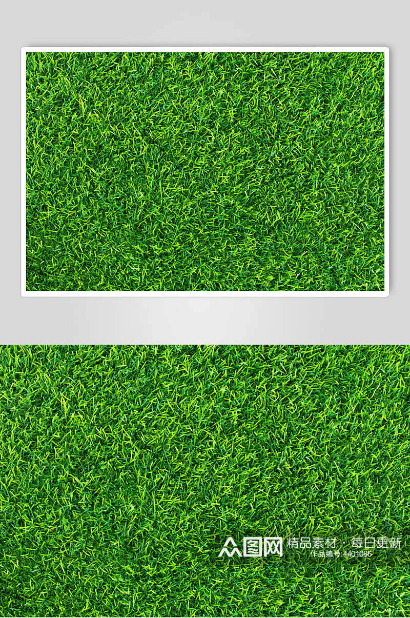 清晰绿色草地植被纹理图片素材