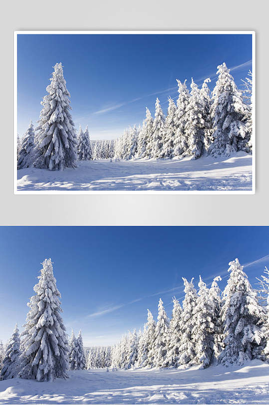 唯美自然雪景风景图片