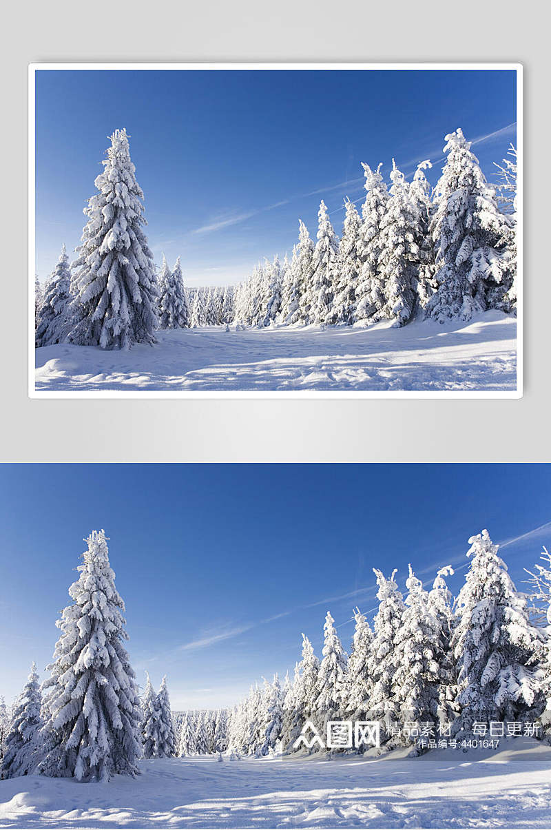 唯美自然雪景风景图片素材