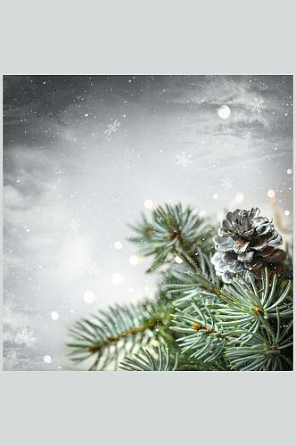 松树冬季雪景高清图片