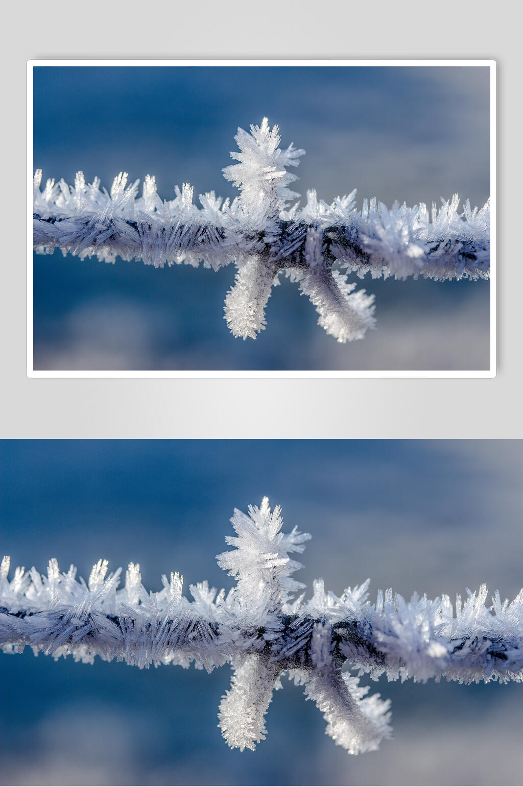 冰花冬季雪景高清图片素材