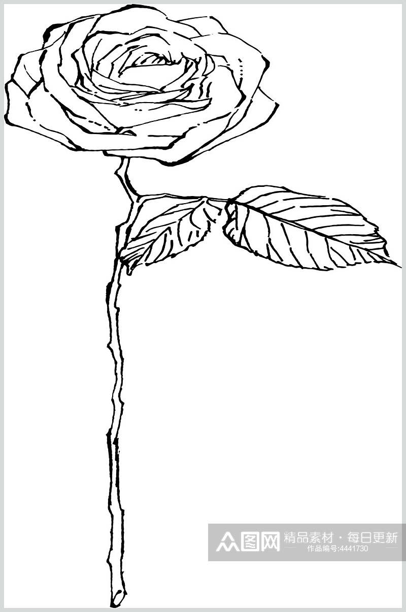 玫瑰花植物手绘线稿矢量素材素材