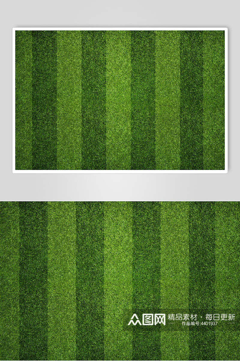绿条草地植被纹理图片素材