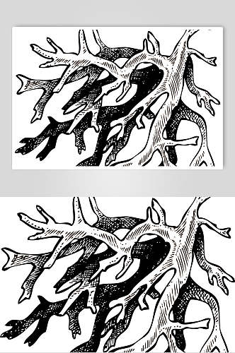 黑白橡木苔植物手绘线稿矢量素材