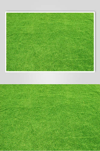 青绿色草坪草地植被纹理图片