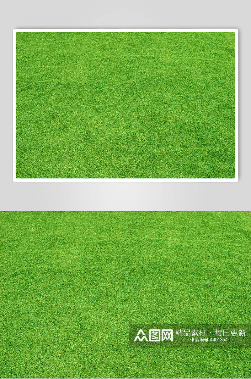 青绿色草坪草地植被纹理图片素材