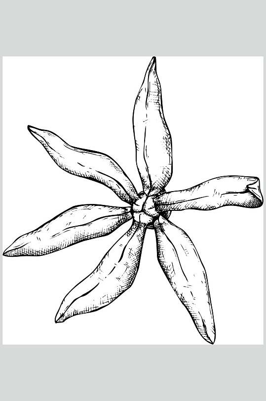 装依兰花图片-装依兰花素材下载-众图网