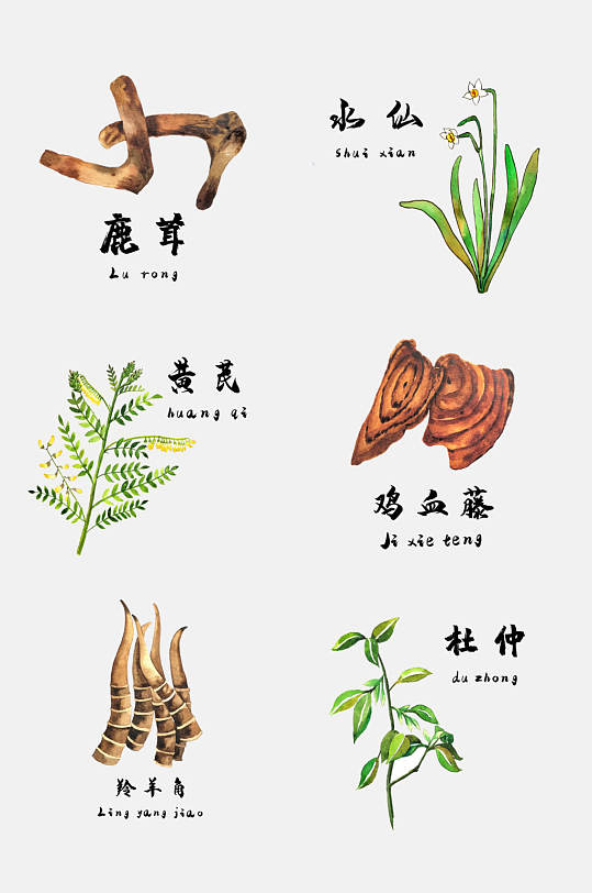 雞血藤彩繪草本植物免摳素材
