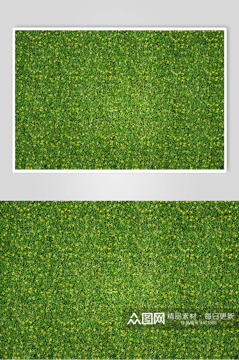 黄绿色绿植草坪草地植被纹理图片素材