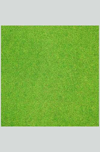 绿色整齐平坦草地植被纹理图片