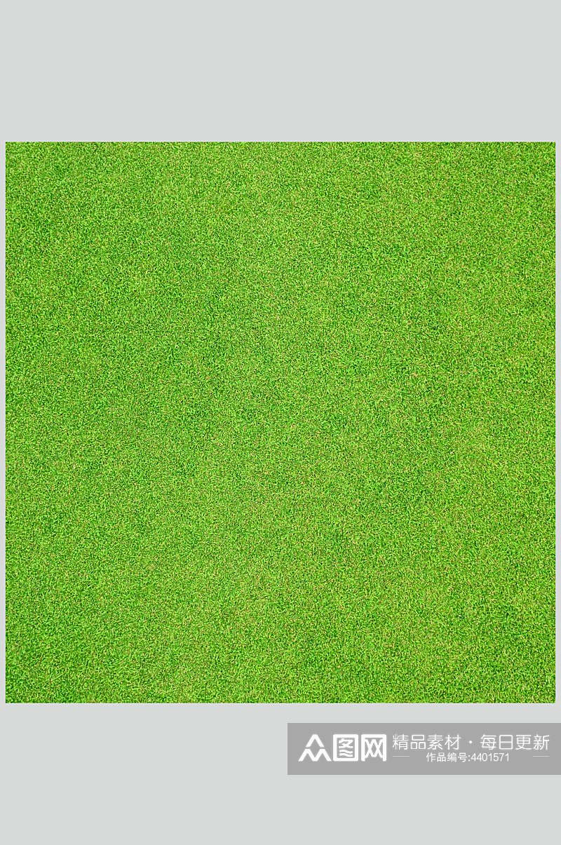 绿色整齐平坦草地植被纹理图片素材