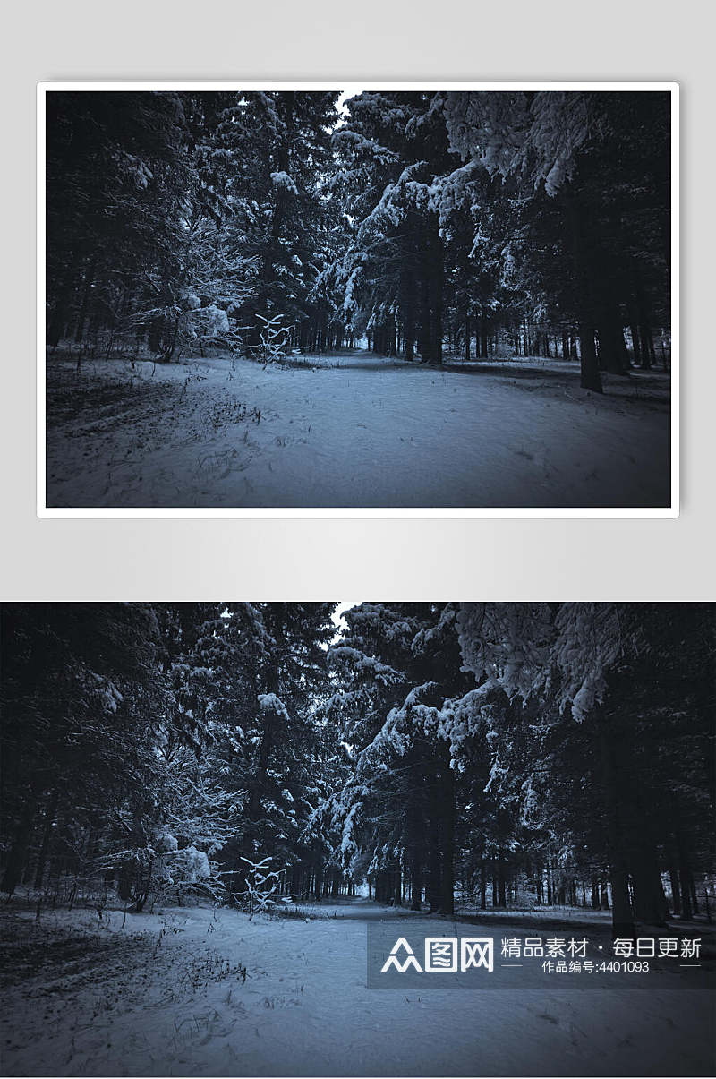 暗黑色树林阴暗自然雪景风景图片素材