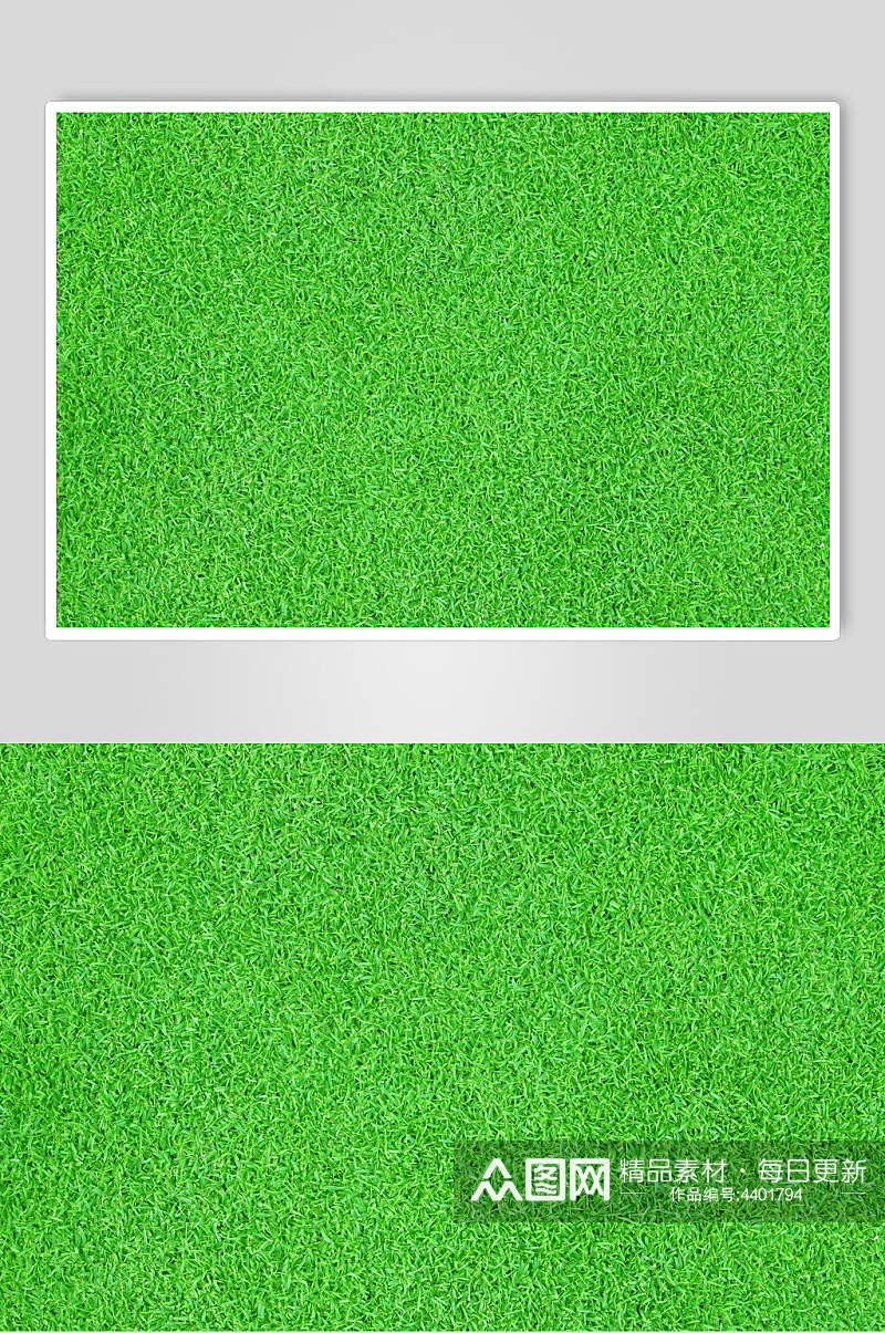 草地绿色植被纹理图片素材