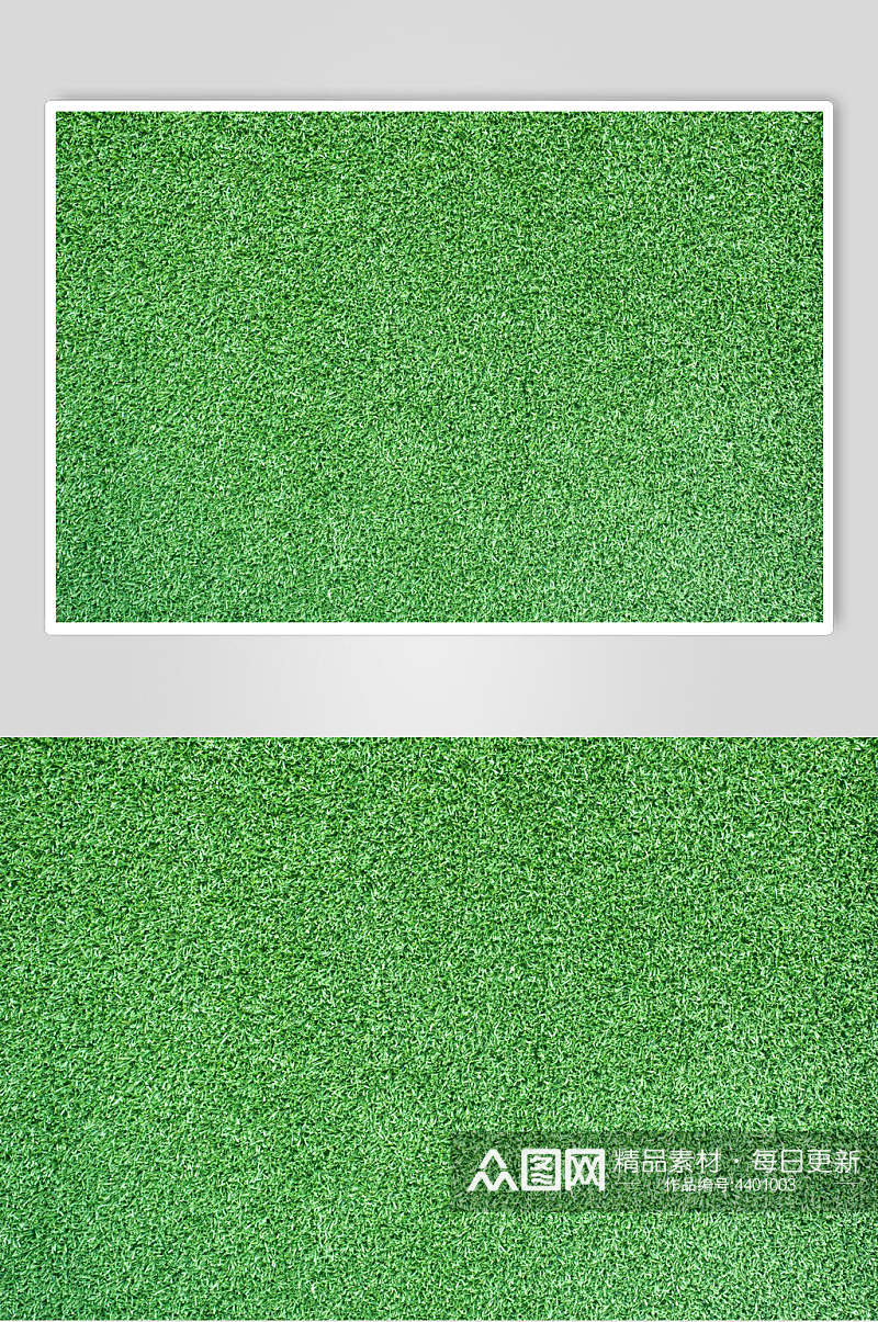 绿色草地植被纹理图片素材