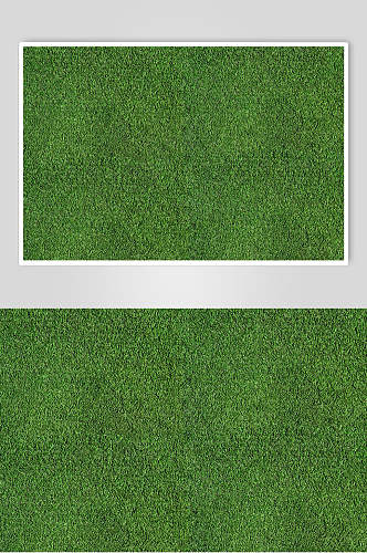 深绿色草地植被纹理图片