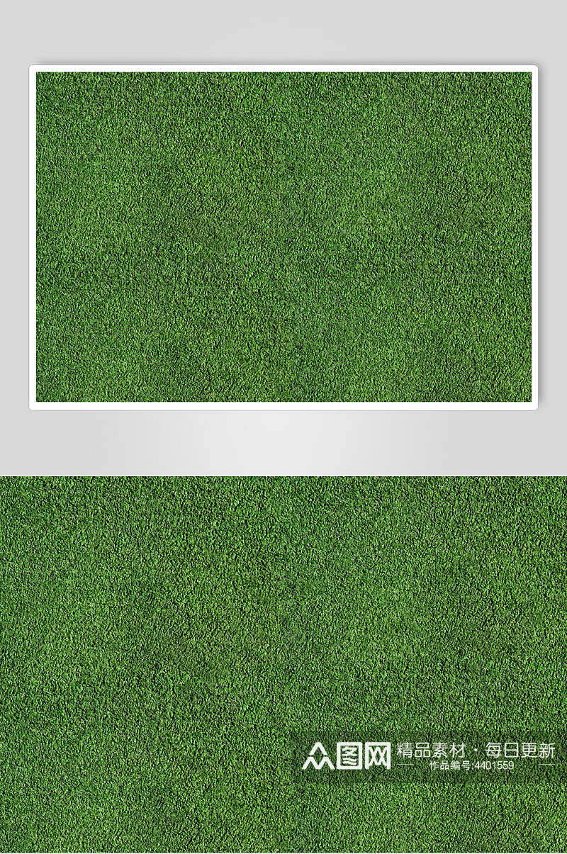 深绿色草地植被纹理图片素材