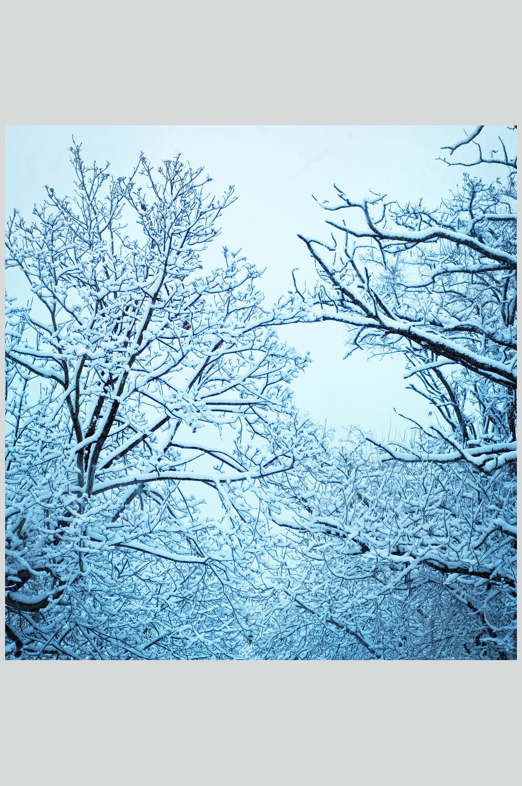 唯美自然雪景风景图片素材