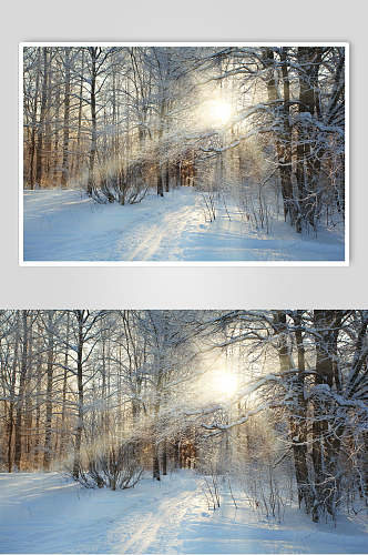 高清自然雪景风景图片