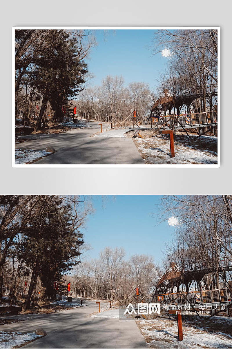 冬季树木吉林长春水文化生态园摄影图片素材