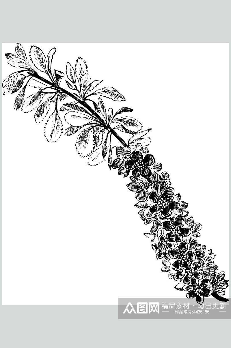 黑色简约清新植物素描手绘矢量素材素材