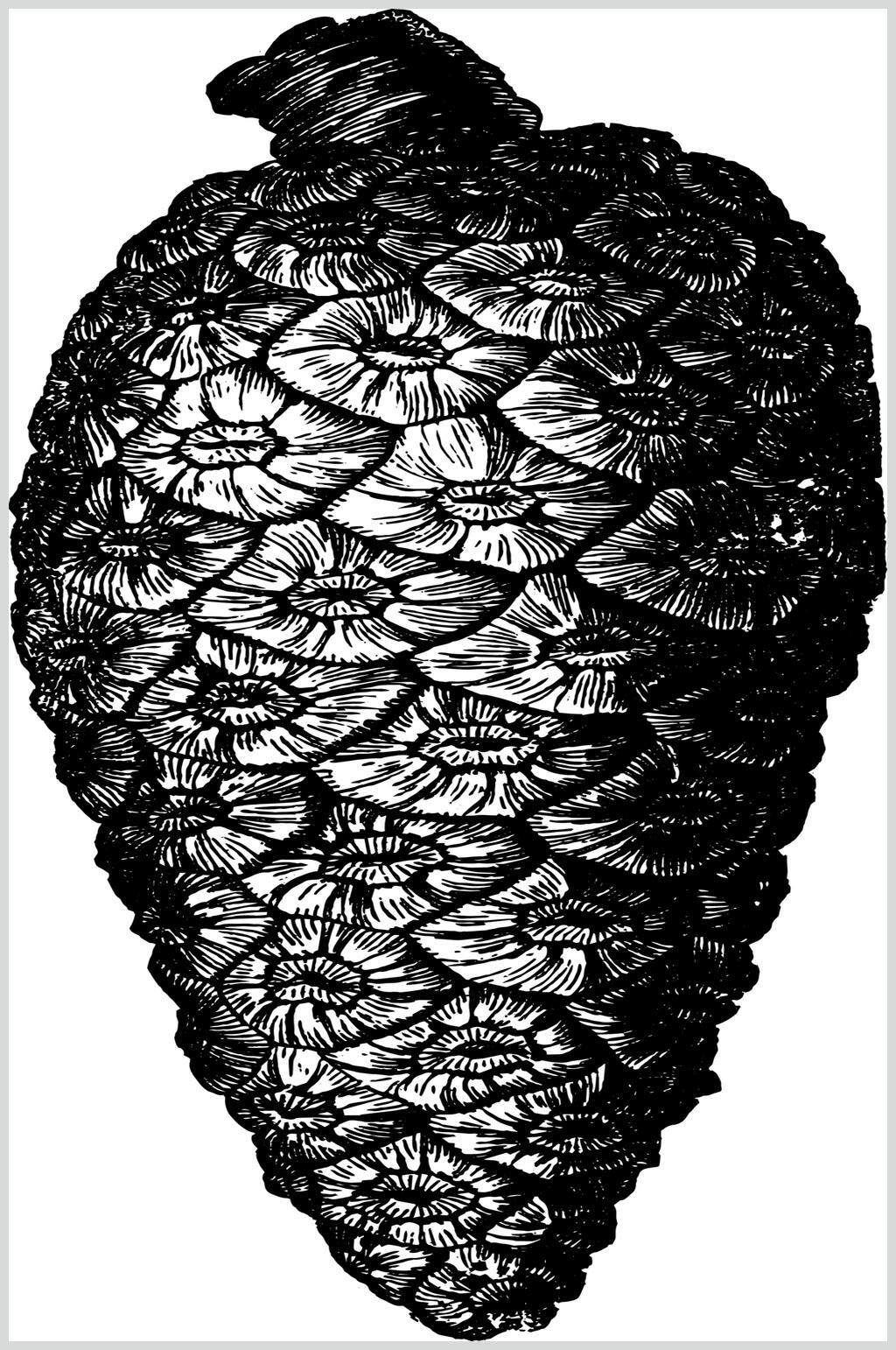 松果植物素描手绘矢量素材素材
