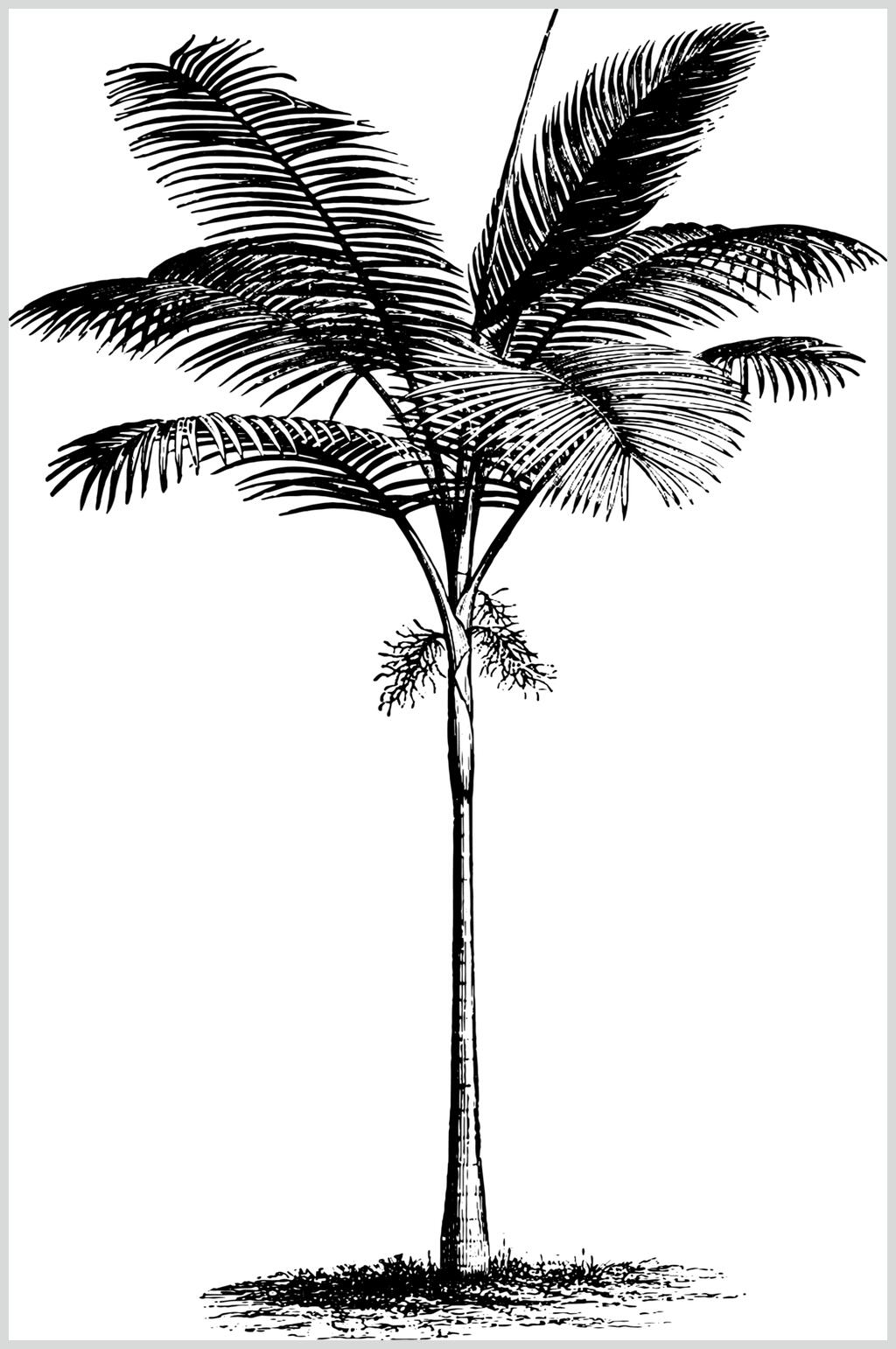 耶稣植物素描手绘矢量素材素材