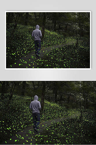 单人走在森林道路光斑摄影视觉图片