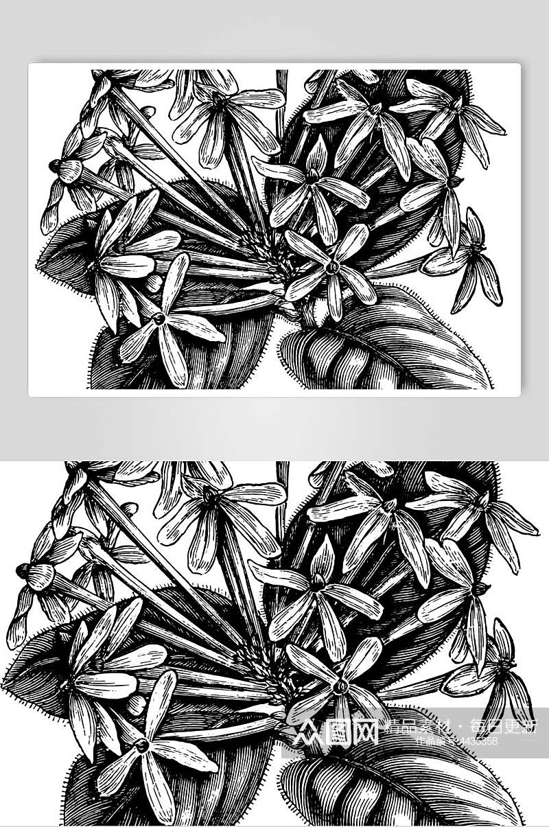 叶子黑色简约植物素描手绘矢量素材素材