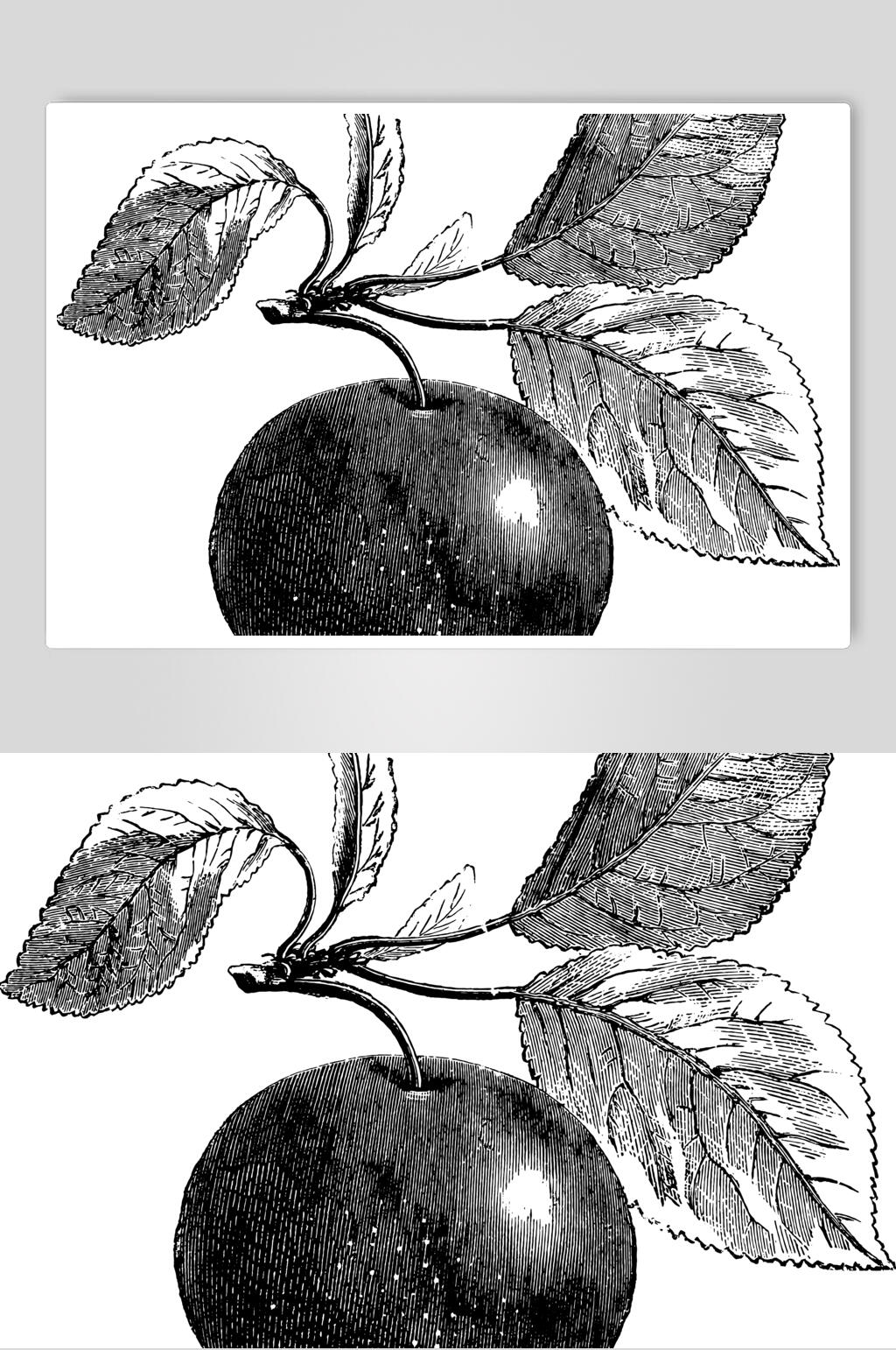 简约植物素描手绘矢量素材素材
