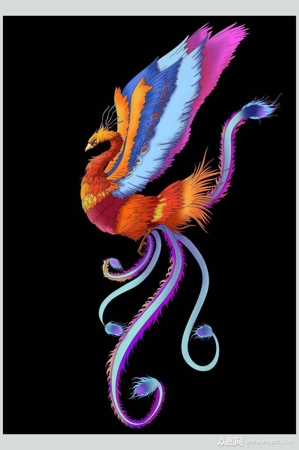 羽毛展翅黑色国潮凤凰插画素材素材